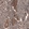 Anti-YAP1 Recombinant Antibody