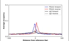 ChIP-Exo-Seq composite graph for Anti-POLA1 (HPA002947, Lot A95954) tested in K562 cells. Strand-specific reads (blue: forward, red: reverse) and IgG controls (black: forward, grey: reverse) are plotted against the distance from a composite set of reference binding sites. The antibody exhibits robust target enrichment compared to a non-specific IgG control and precisely reveals its structural organization around the binding site. Data generated by Prof. B. F. Pugh's Lab at Cornell University.