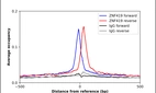 ChIP-Exo-Seq composite graph for Anti-ZNF419 (HPA003274, Lot R04058) tested in K562 cells. Strand-specific reads (blue: forward, red: reverse) and IgG controls (black: forward, grey: reverse) are plotted against the distance from a composite set of reference binding sites. The antibody exhibits robust target enrichment compared to a non-specific IgG control and precisely reveals its structural organization around the binding site. Data generated by Prof. B. F. Pugh's Lab at Cornell University.