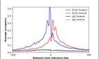 ChIP-Exo-Seq composite graph for Anti-DLX5 (HPA005670, Lot 000044711) tested in K562 cells. Strand-specific reads (blue: forward, red: reverse) and IgG controls (black: forward, grey: reverse) are plotted against the distance from a composite set of reference binding sites. The antibody exhibits robust target enrichment compared to a non-specific IgG control and precisely reveals its structural organization around the binding site. Data generated by Prof. B. F. Pugh's Lab at Cornell University.