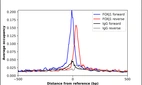 ChIP-Exo-Seq composite graph for Anti-FOXJ1 (HPA005714, Lot 000051889) tested in K562 cells. Strand-specific reads (blue: forward, red: reverse) and IgG controls (black: forward, grey: reverse) are plotted against the distance from a composite set of reference binding sites. The antibody exhibits robust target enrichment compared to a non-specific IgG control and precisely reveals its structural organization around the binding site. Data generated by Prof. B. F. Pugh's Lab at Cornell University.