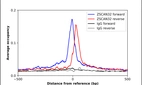 ChIP-Exo-Seq composite graph for Anti-ZSCAN32 (HPA005758, Lot R04530) tested in K562 cells. Strand-specific reads (blue: forward, red: reverse) and IgG controls (black: forward, grey: reverse) are plotted against the distance from a composite set of reference binding sites. The antibody exhibits robust target enrichment compared to a non-specific IgG control and precisely reveals its structural organization around the binding site. Data generated by Prof. B. F. Pugh's Lab at Cornell University.