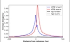 ChIP-Exo-Seq composite graph for Anti-ATF6 (HPA005935, Lot 000013168) tested in K562 cells. Strand-specific reads (blue: forward, red: reverse) and IgG controls (black: forward, grey: reverse) are plotted against the distance from a composite set of reference binding sites. The antibody exhibits robust target enrichment compared to a non-specific IgG control and precisely reveals its structural organization around the binding site. Data generated by Prof. B. F. Pugh's Lab at Cornell University.