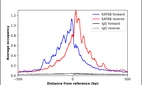 ChIP-Exo-Seq composite graph for Anti-KAT6B (HPA006104, Lot 000050908) tested in K562 cells. Strand-specific reads (blue: forward, red: reverse) and IgG controls (black: forward, grey: reverse) are plotted against the distance from a composite set of reference binding sites. The antibody exhibits robust target enrichment compared to a non-specific IgG control and precisely reveals its structural organization around the binding site. Data generated by Prof. B. F. Pugh's Lab at Cornell University.