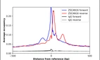 ChIP-Exo-Seq composite graph for Anti-ZSCAN16 (HPA007290, Lot R04544) tested in K562 cells. Strand-specific reads (blue: forward, red: reverse) and IgG controls (black: forward, grey: reverse) are plotted against the distance from a composite set of reference binding sites. The antibody exhibits robust target enrichment compared to a non-specific IgG control and precisely reveals its structural organization around the binding site. Data generated by Prof. B. F. Pugh's Lab at Cornell University.