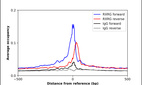 ChIP-Exo-Seq composite graph for Anti-RXRG (HPA012933, Lot R05005) tested in K562 cells. Strand-specific reads (blue: forward, red: reverse) and IgG controls (black: forward, grey: reverse) are plotted against the distance from a composite set of reference binding sites. The antibody exhibits robust target enrichment compared to a non-specific IgG control and precisely reveals its structural organization around the binding site. Data generated by Prof. B. F. Pugh's Lab at Cornell University.