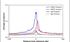 ChIP-Exo-Seq composite graph for Anti-RXRG (HPA012933, Lot R05005) tested in K562 cells. Strand-specific reads (blue: forward, red: reverse) and IgG controls (black: forward, grey: reverse) are plotted against the distance from a composite set of reference binding sites. The antibody exhibits robust target enrichment compared to a non-specific IgG control and precisely reveals its structural organization around the binding site. Data generated by Prof. B. F. Pugh's Lab at Cornell University.