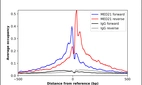 ChIP-Exo-Seq composite graph for Anti-MED21 (HPA017177, Lot R06558) tested in K562 cells. Strand-specific reads (blue: forward, red: reverse) and IgG controls (black: forward, grey: reverse) are plotted against the distance from a composite set of reference binding sites. The antibody exhibits robust target enrichment compared to a non-specific IgG control and precisely reveals its structural organization around the binding site. Data generated by Prof. B. F. Pugh's Lab at Cornell University.