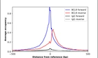 ChIP-Exo-Seq composite graph for Anti-BCL9 (HPA020274, Lot 000058956) tested in K562 cells. Strand-specific reads (blue: forward, red: reverse) and IgG controls (black: forward, grey: reverse) are plotted against the distance from a composite set of reference binding sites. The antibody exhibits robust target enrichment compared to a non-specific IgG control and precisely reveals its structural organization around the binding site. Data generated by Prof. B. F. Pugh's Lab at Cornell University.