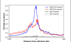 ChIP-Exo-Seq composite graph for Anti-ZNF276 (HPA022255, Lot R09119) tested in K562 cells. Strand-specific reads (blue: forward, red: reverse) and IgG controls (black: forward, grey: reverse) are plotted against the distance from a composite set of reference binding sites. The antibody exhibits robust target enrichment compared to a non-specific IgG control and precisely reveals its structural organization around the binding site. Data generated by Prof. B. F. Pugh's Lab at Cornell University.