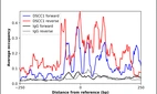 ChIP-Exo-Seq composite graph for Anti-DSCC1 (HPA024401, Lot 000054328) tested in K562 cells. Strand-specific reads (blue: forward, red: reverse) and IgG controls (black: forward, grey: reverse) are plotted against the distance from a composite set of reference binding sites. The antibody exhibits robust target enrichment compared to a non-specific IgG control and precisely reveals its structural organization around the binding site. Data generated by Prof. B. F. Pugh's Lab at Cornell University.