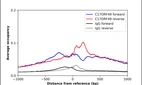 ChIP-Exo-Seq composite graph for Anti-C17ORF49 (HPA024457, Lot A117837) tested in K562 cells. Strand-specific reads (blue: forward, red: reverse) and IgG controls (black: forward, grey: reverse) are plotted against the distance from a composite set of reference binding sites. The antibody exhibits robust target enrichment compared to a non-specific IgG control and precisely reveals its structural organization around the binding site. Data generated by Prof. B. F. Pugh's Lab at Cornell University.