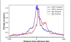 ChIP-Exo-Seq composite graph for Anti-GZF1 (HPA024520, Lot R11643) tested in K562 cells. Strand-specific reads (blue: forward, red: reverse) and IgG controls (black: forward, grey: reverse) are plotted against the distance from a composite set of reference binding sites. The antibody exhibits robust target enrichment compared to a non-specific IgG control and precisely reveals its structural organization around the binding site. Data generated by Prof. B. F. Pugh's Lab at Cornell University.