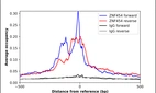 ChIP-Exo-Seq composite graph for Anti-ZNF454 (HPA024556, Lot R11644) tested in K562 cells. Strand-specific reads (blue: forward, red: reverse) and IgG controls (black: forward, grey: reverse) are plotted against the distance from a composite set of reference binding sites. The antibody exhibits robust target enrichment compared to a non-specific IgG control and precisely reveals its structural organization around the binding site. Data generated by Prof. B. F. Pugh's Lab at Cornell University.