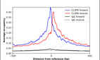 ChIP-Exo-Seq composite graph for Anti-CLSPN (HPA026312, Lot R12046) tested in K562 cells. Strand-specific reads (blue: forward, red: reverse) and IgG controls (black: forward, grey: reverse) are plotted against the distance from a composite set of reference binding sites. The antibody exhibits robust target enrichment compared to a non-specific IgG control and precisely reveals its structural organization around the binding site. Data generated by Prof. B. F. Pugh's Lab at Cornell University.