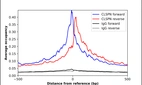 ChIP-Exo-Seq composite graph for Anti-CLSPN (HPA026312, Lot R12046) tested in K562 cells. Strand-specific reads (blue: forward, red: reverse) and IgG controls (black: forward, grey: reverse) are plotted against the distance from a composite set of reference binding sites. The antibody exhibits robust target enrichment compared to a non-specific IgG control and precisely reveals its structural organization around the binding site. Data generated by Prof. B. F. Pugh's Lab at Cornell University.