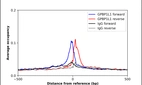 ChIP-Exo-Seq composite graph for Anti-GPBP1L1 (HPA028593, Lot R28100) tested in K562 cells. Strand-specific reads (blue: forward, red: reverse) and IgG controls (black: forward, grey: reverse) are plotted against the distance from a composite set of reference binding sites. The antibody exhibits robust target enrichment compared to a non-specific IgG control and precisely reveals its structural organization around the binding site. Data generated by Prof. B. F. Pugh's Lab at Cornell University.