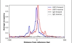 ChIP-Exo-Seq composite graph for Anti-USF3 (HPA029245, Lot R28746) tested in K562 cells. Strand-specific reads (blue: forward, red: reverse) and IgG controls (black: forward, grey: reverse) are plotted against the distance from a composite set of reference binding sites. The antibody exhibits robust target enrichment compared to a non-specific IgG control and precisely reveals its structural organization around the binding site. Data generated by Prof. B. F. Pugh's Lab at Cornell University.