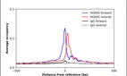 ChIP-Exo-Seq composite graph for Anti-HOXA5 (HPA029319, Lot 000048785) tested in K562 cells. Strand-specific reads (blue: forward, red: reverse) and IgG controls (black: forward, grey: reverse) are plotted against the distance from a composite set of reference binding sites. The antibody exhibits robust target enrichment compared to a non-specific IgG control and precisely reveals its structural organization around the binding site. Data generated by Prof. B. F. Pugh's Lab at Cornell University.