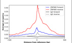 ChIP-Exo-Seq composite graph for Anti-ZNF660 (HPA029705, Lot R30870) tested in K562 cells. Strand-specific reads (blue: forward, red: reverse) and IgG controls (black: forward, grey: reverse) are plotted against the distance from a composite set of reference binding sites. The antibody exhibits robust target enrichment compared to a non-specific IgG control and precisely reveals its structural organization around the binding site. Data generated by Prof. B. F. Pugh's Lab at Cornell University.