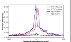 ChIP-Exo-Seq composite graph for Anti-IFT57 (HPA035515, Lot R33000) tested in K562 cells. Strand-specific reads (blue: forward, red: reverse) and IgG controls (black: forward, grey: reverse) are plotted against the distance from a composite set of reference binding sites. The antibody exhibits robust target enrichment compared to a non-specific IgG control and precisely reveals its structural organization around the binding site. Data generated by Prof. B. F. Pugh's Lab at Cornell University.