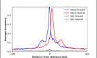 ChIP-Exo-Seq composite graph for Anti-HELQ (HPA036853, Lot A91998) tested in K562 cells. Strand-specific reads (blue: forward, red: reverse) and IgG controls (black: forward, grey: reverse) are plotted against the distance from a composite set of reference binding sites. The antibody exhibits robust target enrichment compared to a non-specific IgG control and precisely reveals its structural organization around the binding site. Data generated by Prof. B. F. Pugh's Lab at Cornell University.