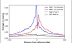 ChIP-Exo-Seq composite graph for Anti-FAM170A (HPA037902, Lot R34765) tested in K562 cells. Strand-specific reads (blue: forward, red: reverse) and IgG controls (black: forward, grey: reverse) are plotted against the distance from a composite set of reference binding sites. The antibody exhibits robust target enrichment compared to a non-specific IgG control and precisely reveals its structural organization around the binding site. Data generated by Prof. B. F. Pugh's Lab at Cornell University.