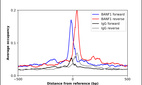 ChIP-Exo-Seq composite graph for Anti-BANF1 (HPA039242, Lot 000055110) tested in K562 cells. Strand-specific reads (blue: forward, red: reverse) and IgG controls (black: forward, grey: reverse) are plotted against the distance from a composite set of reference binding sites. The antibody exhibits robust target enrichment compared to a non-specific IgG control and precisely reveals its structural organization around the binding site. Data generated by Prof. B. F. Pugh's Lab at Cornell University.