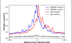 ChIP-Exo-Seq composite graph for Anti-ZNF891 (HPA040301, Lot R37197) tested in K562 cells. Strand-specific reads (blue: forward, red: reverse) and IgG controls (black: forward, grey: reverse) are plotted against the distance from a composite set of reference binding sites. The antibody exhibits robust target enrichment compared to a non-specific IgG control and precisely reveals its structural organization around the binding site. Data generated by Prof. B. F. Pugh's Lab at Cornell University.