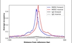 ChIP-Exo-Seq composite graph for Anti-MIER2 (HPA041439, Lot R38076) tested in K562 cells. Strand-specific reads (blue: forward, red: reverse) and IgG controls (black: forward, grey: reverse) are plotted against the distance from a composite set of reference binding sites. The antibody exhibits robust target enrichment compared to a non-specific IgG control and precisely reveals its structural organization around the binding site. Data generated by Prof. B. F. Pugh's Lab at Cornell University.