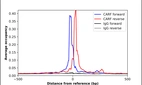 ChIP-Exo-Seq composite graph for Anti-CARF (HPA043191, Lot R41019) tested in K562 cells. Strand-specific reads (blue: forward, red: reverse) and IgG controls (black: forward, grey: reverse) are plotted against the distance from a composite set of reference binding sites. The antibody exhibits robust target enrichment compared to a non-specific IgG control and precisely reveals its structural organization around the binding site. Data generated by Prof. B. F. Pugh's Lab at Cornell University.