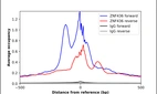 ChIP-Exo-Seq composite graph for Anti-ZNF436 (HPA043817, Lot R40324) tested in K562 cells. Strand-specific reads (blue: forward, red: reverse) and IgG controls (black: forward, grey: reverse) are plotted against the distance from a composite set of reference binding sites. The antibody exhibits robust target enrichment compared to a non-specific IgG control and precisely reveals its structural organization around the binding site. Data generated by Prof. B. F. Pugh's Lab at Cornell University.