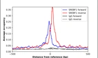 ChIP-Exo-Seq composite graph for Anti-SREBF1 (HPA043878, Lot R39825) tested in K562 cells. Strand-specific reads (blue: forward, red: reverse) and IgG controls (black: forward, grey: reverse) are plotted against the distance from a composite set of reference binding sites. The antibody exhibits robust target enrichment compared to a non-specific IgG control and precisely reveals its structural organization around the binding site. Data generated by Prof. B. F. Pugh's Lab at Cornell University.