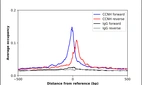 ChIP-Exo-Seq composite graph for Anti-CCNH (HPA044138, Lot R40973) tested in K562 cells. Strand-specific reads (blue: forward, red: reverse) and IgG controls (black: forward, grey: reverse) are plotted against the distance from a composite set of reference binding sites. The antibody exhibits robust target enrichment compared to a non-specific IgG control and precisely reveals its structural organization around the binding site. Data generated by Prof. B. F. Pugh's Lab at Cornell University.