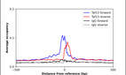 ChIP-Exo-Seq composite graph for Anti-TAF13 (HPA044492, Lot R40815) tested in K562 cells. Strand-specific reads (blue: forward, red: reverse) and IgG controls (black: forward, grey: reverse) are plotted against the distance from a composite set of reference binding sites. The antibody exhibits robust target enrichment compared to a non-specific IgG control and precisely reveals its structural organization around the binding site. Data generated by Prof. B. F. Pugh's Lab at Cornell University.