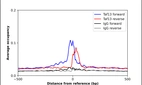 ChIP-Exo-Seq composite graph for Anti-TAF13 (HPA044492, Lot R40815) tested in K562 cells. Strand-specific reads (blue: forward, red: reverse) and IgG controls (black: forward, grey: reverse) are plotted against the distance from a composite set of reference binding sites. The antibody exhibits robust target enrichment compared to a non-specific IgG control and precisely reveals its structural organization around the binding site. Data generated by Prof. B. F. Pugh's Lab at Cornell University.