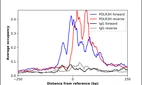 ChIP-Exo-Seq composite graph for Anti-POLR3H (HPA046787, Lot R43838) tested in K562 cells. Strand-specific reads (blue: forward, red: reverse) and IgG controls (black: forward, grey: reverse) are plotted against the distance from a composite set of reference binding sites. The antibody exhibits robust target enrichment compared to a non-specific IgG control and precisely reveals its structural organization around the binding site. Data generated by Prof. B. F. Pugh's Lab at Cornell University.