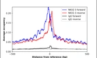 ChIP-Exo-Seq composite graph for Anti-NKX2-3 (HPA047561, Lot A106058) tested in K562 cells. Strand-specific reads (blue: forward, red: reverse) and IgG controls (black: forward, grey: reverse) are plotted against the distance from a composite set of reference binding sites. The antibody exhibits robust target enrichment compared to a non-specific IgG control and precisely reveals its structural organization around the binding site. Data generated by Prof. B. F. Pugh's Lab at Cornell University.