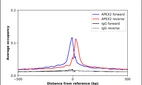 ChIP-Exo-Seq composite graph for Anti-APEX2 (HPA048577, Lot 000040300) tested in K562 cells. Strand-specific reads (blue: forward, red: reverse) and IgG controls (black: forward, grey: reverse) are plotted against the distance from a composite set of reference binding sites. The antibody exhibits robust target enrichment compared to a non-specific IgG control and precisely reveals its structural organization around the binding site. Data generated by Prof. B. F. Pugh's Lab at Cornell University.