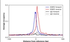 ChIP-Exo-Seq composite graph for Anti-ESRP2 (HPA048618, Lot R58592) tested in K562 cells. Strand-specific reads (blue: forward, red: reverse) and IgG controls (black: forward, grey: reverse) are plotted against the distance from a composite set of reference binding sites. The antibody exhibits robust target enrichment compared to a non-specific IgG control and precisely reveals its structural organization around the binding site. Data generated by Prof. B. F. Pugh's Lab at Cornell University.