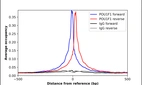 ChIP-Exo-Seq composite graph for Anti-POU1F1 (HPA050624, Lot 000046761) tested in K562 cells. Strand-specific reads (blue: forward, red: reverse) and IgG controls (black: forward, grey: reverse) are plotted against the distance from a composite set of reference binding sites. The antibody exhibits robust target enrichment compared to a non-specific IgG control and precisely reveals its structural organization around the binding site. Data generated by Prof. B. F. Pugh's Lab at Cornell University.