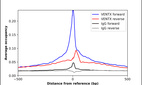 ChIP-Exo-Seq composite graph for Anti-VENTX (HPA050955, Lot R60853) tested in K562 cells. Strand-specific reads (blue: forward, red: reverse) and IgG controls (black: forward, grey: reverse) are plotted against the distance from a composite set of reference binding sites. The antibody exhibits robust target enrichment compared to a non-specific IgG control and precisely reveals its structural organization around the binding site. Data generated by Prof. B. F. Pugh's Lab at Cornell University.
