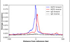 ChIP-Exo-Seq composite graph for Anti-IKZF5 (HPA051574, Lot R66955) tested in K562 cells. Strand-specific reads (blue: forward, red: reverse) and IgG controls (black: forward, grey: reverse) are plotted against the distance from a composite set of reference binding sites. The antibody exhibits robust target enrichment compared to a non-specific IgG control and precisely reveals its structural organization around the binding site. Data generated by Prof. B. F. Pugh's Lab at Cornell University.