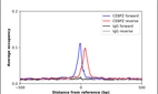 ChIP-Exo-Seq composite graph for Anti-CEBPZ (HPA052065, Lot R67407) tested in K562 cells. Strand-specific reads (blue: forward, red: reverse) and IgG controls (black: forward, grey: reverse) are plotted against the distance from a composite set of reference binding sites. The antibody exhibits robust target enrichment compared to a non-specific IgG control and precisely reveals its structural organization around the binding site. Data generated by Prof. B. F. Pugh's Lab at Cornell University.