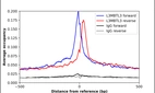 ChIP-Exo-Seq composite graph for Anti-L3MBTL3 (HPA053035, Lot R70857) tested in K562 cells. Strand-specific reads (blue: forward, red: reverse) and IgG controls (black: forward, grey: reverse) are plotted against the distance from a composite set of reference binding sites. The antibody exhibits robust target enrichment compared to a non-specific IgG control and precisely reveals its structural organization around the binding site. Data generated by Prof. B. F. Pugh's Lab at Cornell University.