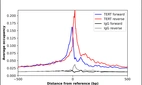 ChIP-Exo-Seq composite graph for Anti-TERT (HPA054641, Lot 000040715) tested in K562 cells. Strand-specific reads (blue: forward, red: reverse) and IgG controls (black: forward, grey: reverse) are plotted against the distance from a composite set of reference binding sites. The antibody exhibits robust target enrichment compared to a non-specific IgG control and precisely reveals its structural organization around the binding site. Data generated by Prof. B. F. Pugh's Lab at Cornell University.