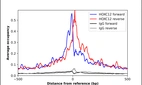 ChIP-Exo-Seq composite graph for Anti-HOXC12 (HPA055632, Lot R74258) tested in K562 cells. Strand-specific reads (blue: forward, red: reverse) and IgG controls (black: forward, grey: reverse) are plotted against the distance from a composite set of reference binding sites. The antibody exhibits robust target enrichment compared to a non-specific IgG control and precisely reveals its structural organization around the binding site. Data generated by Prof. B. F. Pugh's Lab at Cornell University.