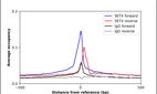 ChIP-Exo-Seq composite graph for Anti-SETX (HPA057269, Lot 000049745) tested in K562 cells. Strand-specific reads (blue: forward, red: reverse) and IgG controls (black: forward, grey: reverse) are plotted against the distance from a composite set of reference binding sites. The antibody exhibits robust target enrichment compared to a non-specific IgG control and precisely reveals its structural organization around the binding site. Data generated by Prof. B. F. Pugh's Lab at Cornell University.
