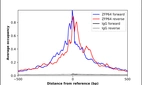 ChIP-Exo-Seq composite graph for Anti-ZFP64 (HPA058387, Lot R81732) tested in K562 cells. Strand-specific reads (blue: forward, red: reverse) and IgG controls (black: forward, grey: reverse) are plotted against the distance from a composite set of reference binding sites. The antibody exhibits robust target enrichment compared to a non-specific IgG control and precisely reveals its structural organization around the binding site. Data generated by Prof. B. F. Pugh's Lab at Cornell University.