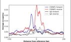 ChIP-Exo-Seq composite graph for Anti-CSRNP1 (HPA058463, Lot R81760) tested in K562 cells. Strand-specific reads (blue: forward, red: reverse) and IgG controls (black: forward, grey: reverse) are plotted against the distance from a composite set of reference binding sites. The antibody exhibits robust target enrichment compared to a non-specific IgG control and precisely reveals its structural organization around the binding site. Data generated by Prof. B. F. Pugh's Lab at Cornell University.